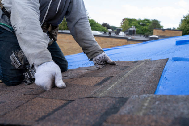 Roof Waterproofing Services in Harvey, MI
