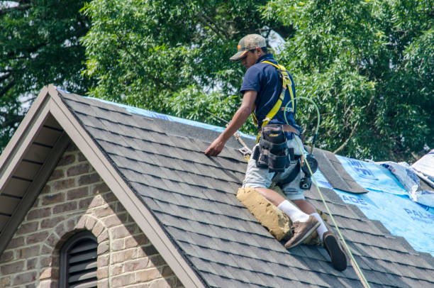 Best Affordable Roof Replacement  in Harvey, MI